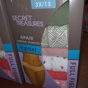 Secret treasures plus size underwear